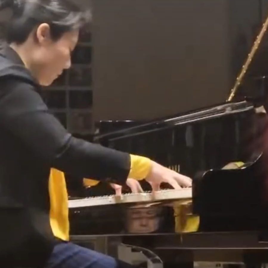 Meeting with the Chinese pianist Meilin Fan